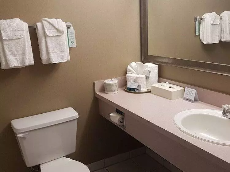 Quality Hotel & Conference Centre