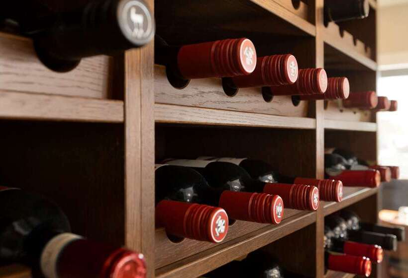 בית מלון כפרי Travelodge By Wyndham Edmonton South