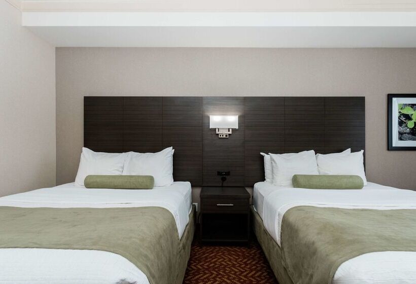 فندق Best Western Inn On The Bay