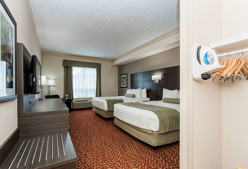 فندق Best Western Inn On The Bay