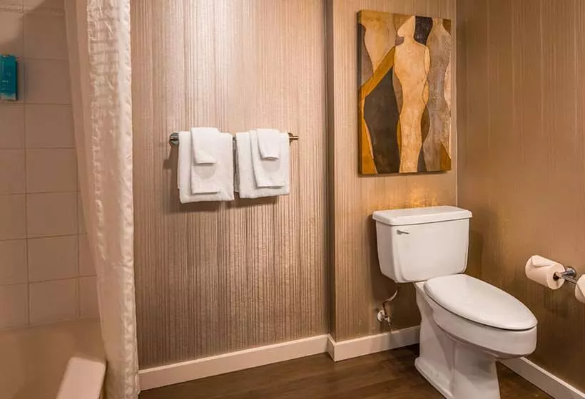 Hotel Best Western Plus Carlton Plaza