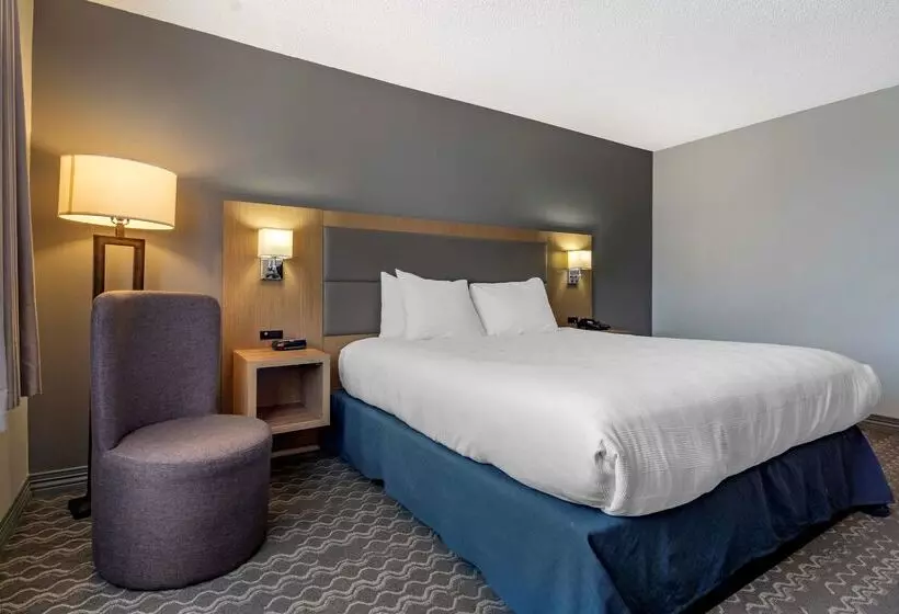 Szálloda Best Western Plus Vancouver Airport