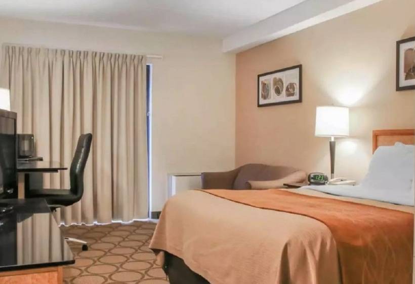 هتل Comfort Inn South