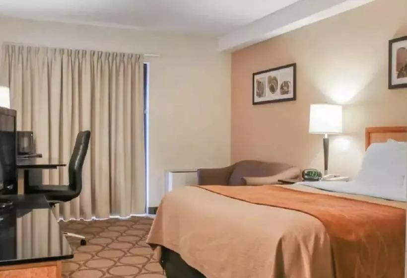 ホテル Comfort Inn South