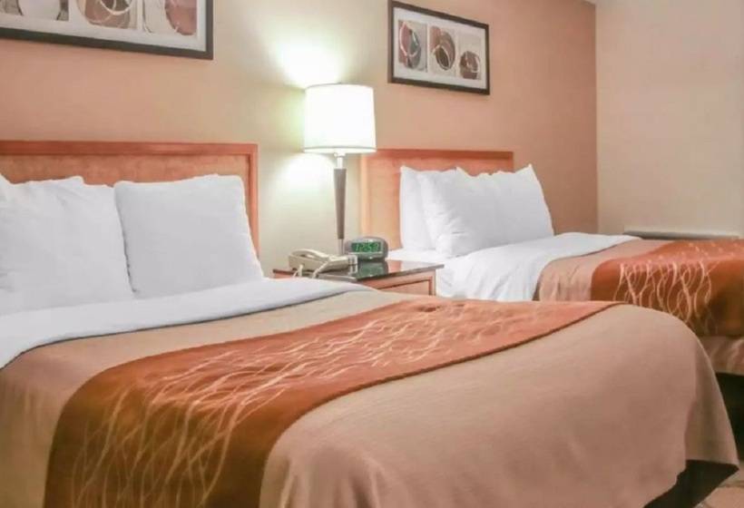 هتل Comfort Inn South