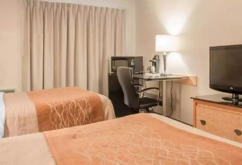 ホテル Comfort Inn South