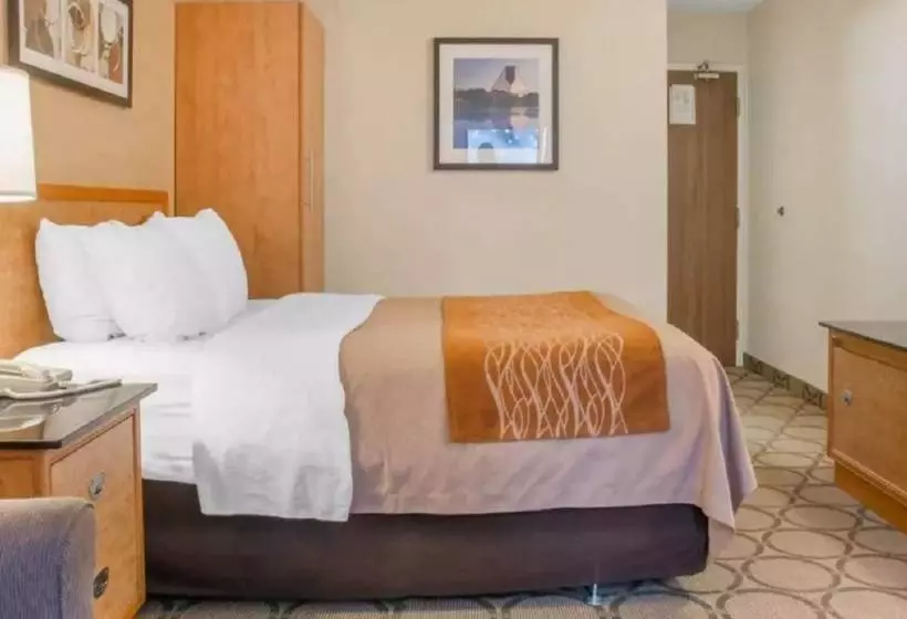 ホテル Comfort Inn South