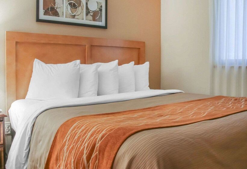 هتل Comfort Inn South