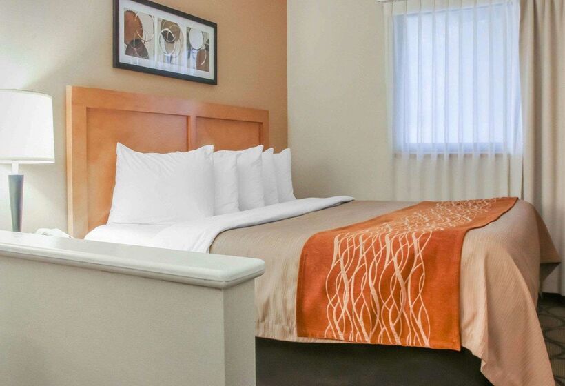 هتل Comfort Inn South