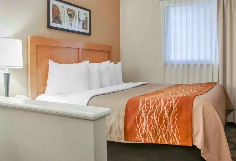 ホテル Comfort Inn South