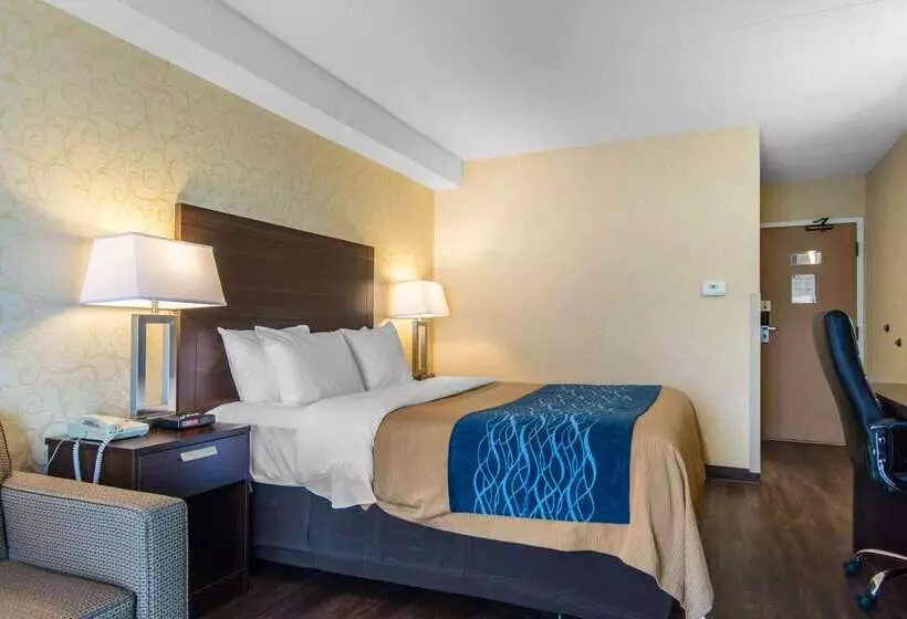 בית מלון כפרי Comfort Inn