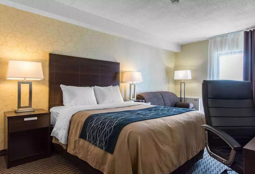 בית מלון כפרי Comfort Inn