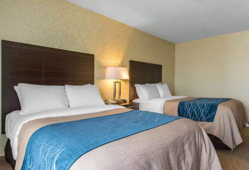 בית מלון כפרי Comfort Inn