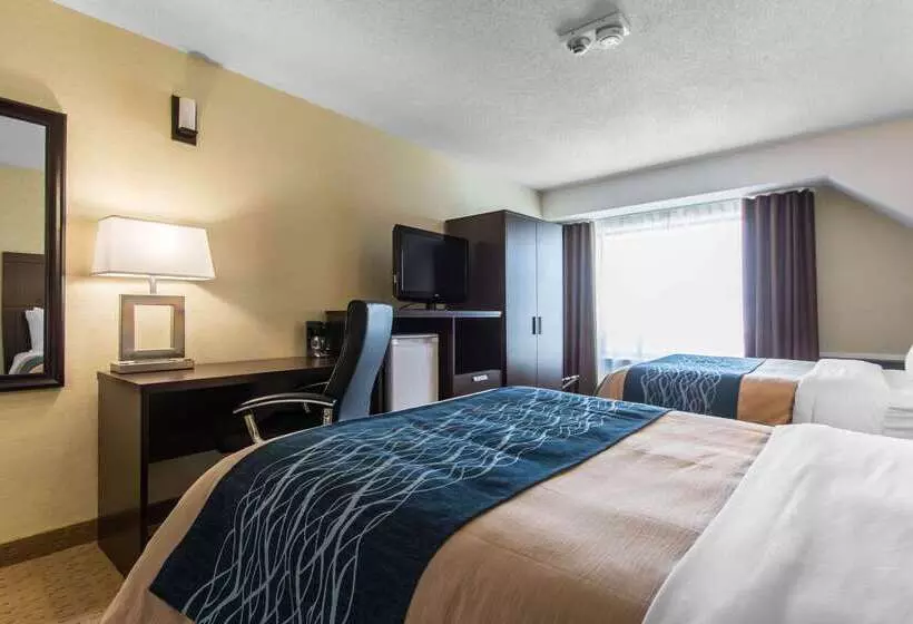 בית מלון כפרי Comfort Inn