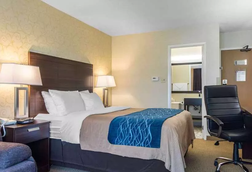 בית מלון כפרי Comfort Inn