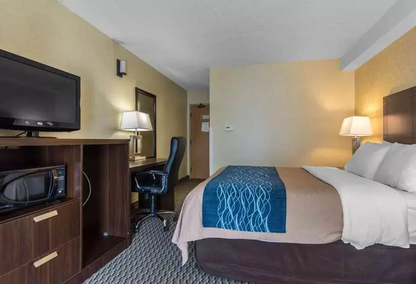 בית מלון כפרי Comfort Inn