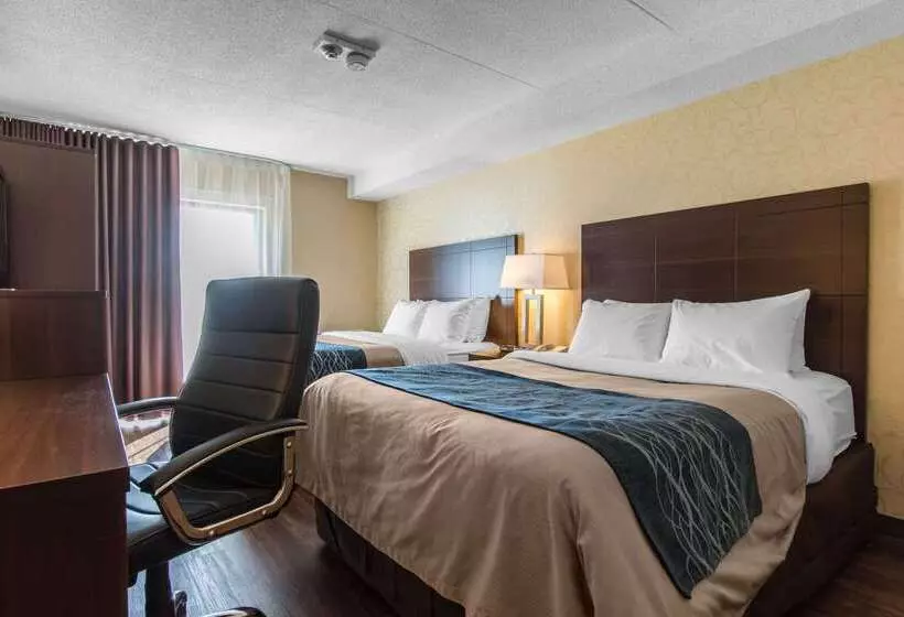 בית מלון כפרי Comfort Inn