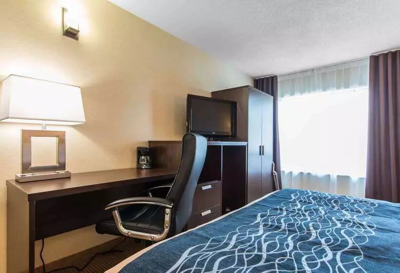 בית מלון כפרי Comfort Inn