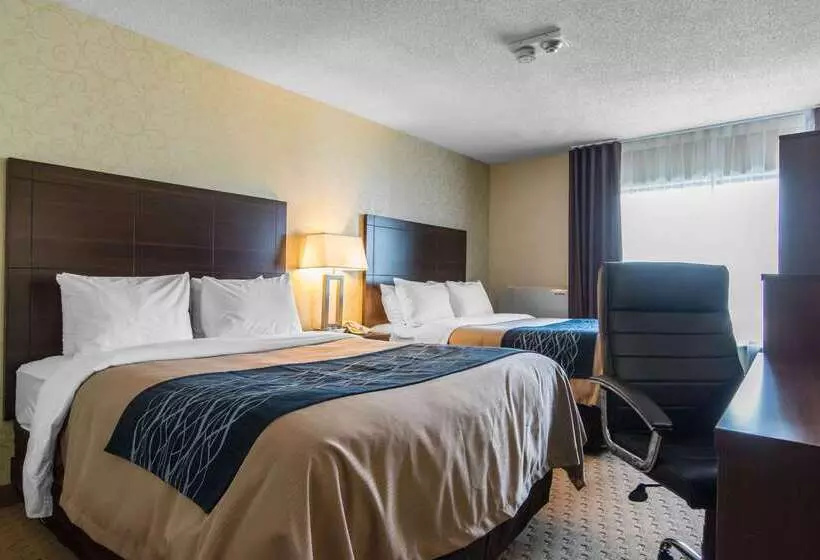 בית מלון כפרי Comfort Inn