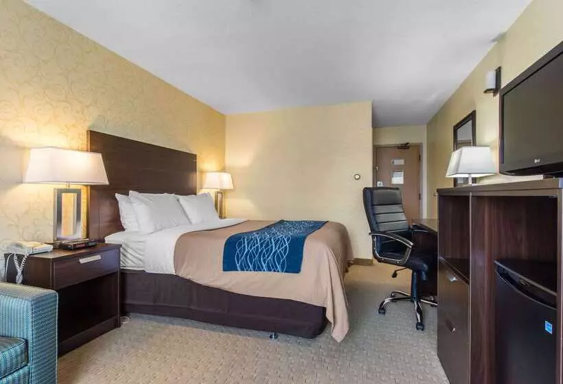 בית מלון כפרי Comfort Inn