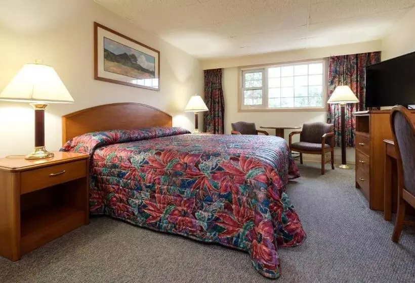 בית מלון כפרי Town And Mountain