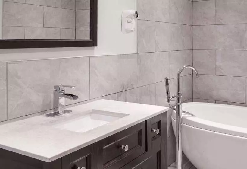 汽车旅馆  Knights Inn Kingston