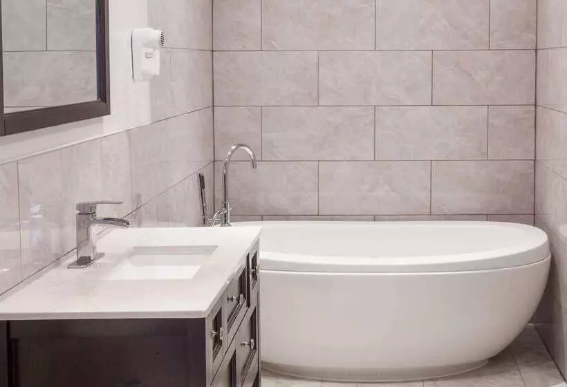 汽车旅馆  Knights Inn Kingston