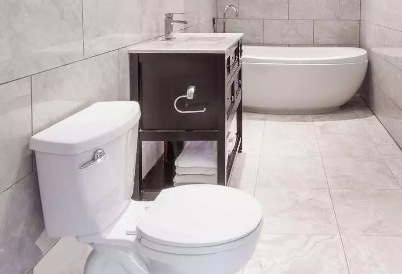 汽车旅馆  Knights Inn Kingston