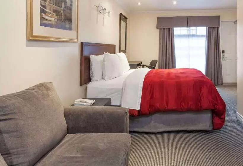 汽车旅馆  Knights Inn Kingston