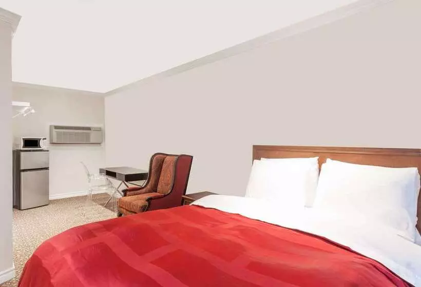 汽车旅馆  Knights Inn Kingston