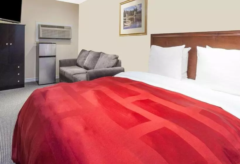 汽车旅馆  Knights Inn Kingston