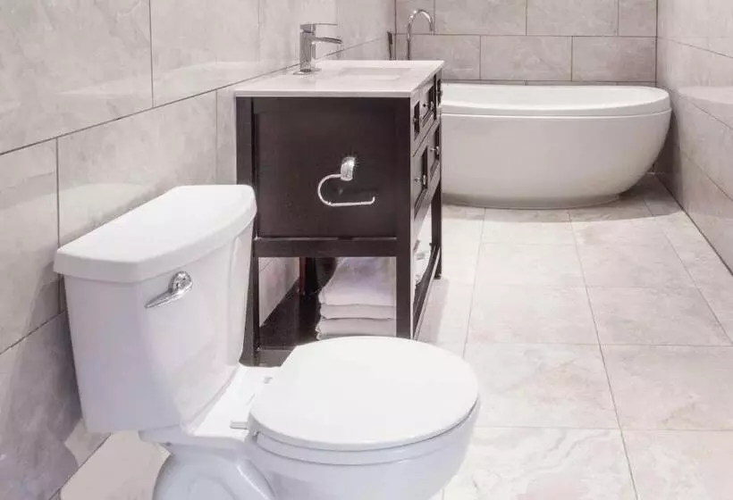 汽车旅馆  Knights Inn Kingston