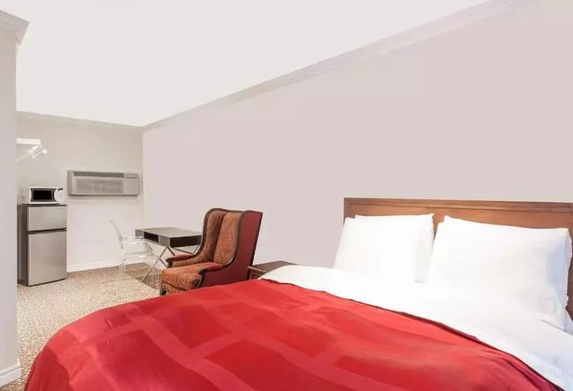 汽车旅馆  Knights Inn Kingston