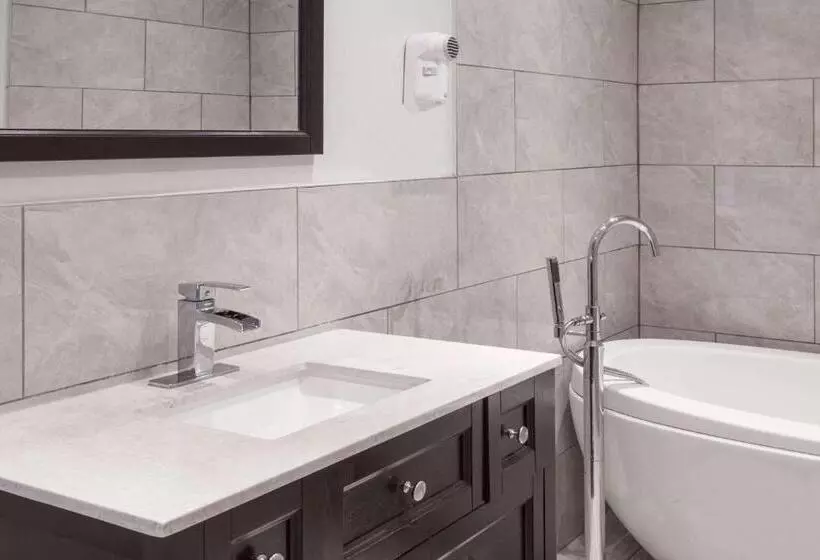 汽车旅馆  Knights Inn Kingston