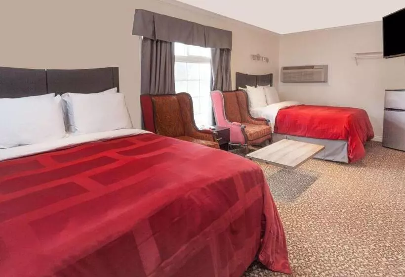 汽车旅馆  Knights Inn Kingston