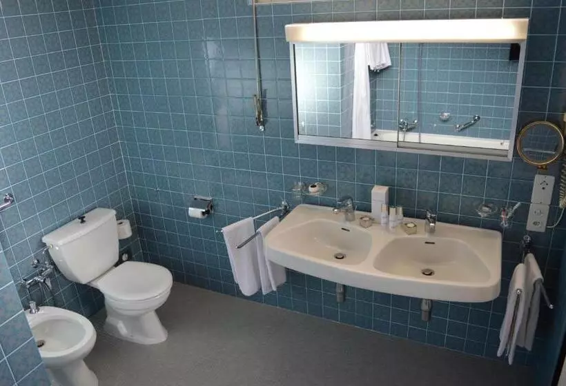 Otel Du Grand Lac Excelsior