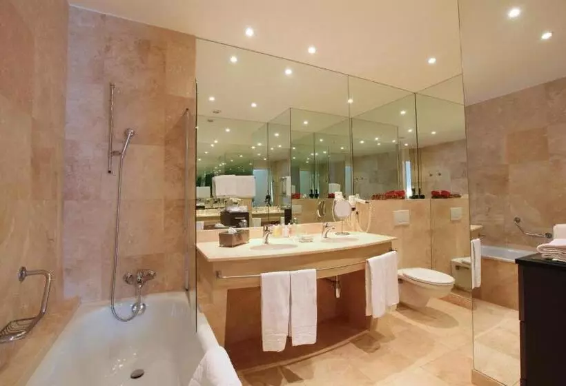 Otel Du Grand Lac Excelsior