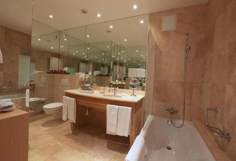 Hotel Du Grand Lac Excelsior