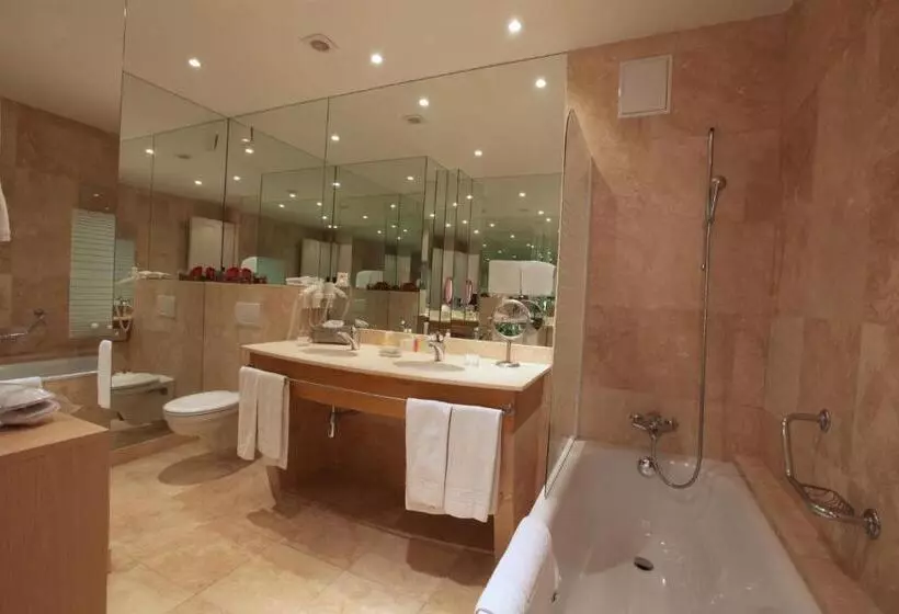 Otel Du Grand Lac Excelsior