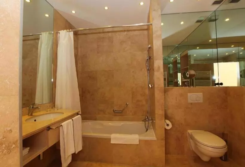 Otel Du Grand Lac Excelsior