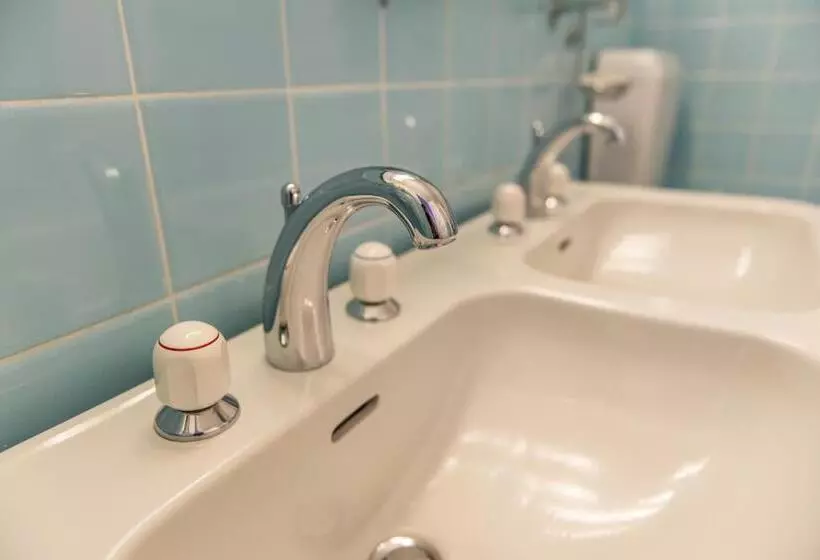 Otel Du Grand Lac Excelsior