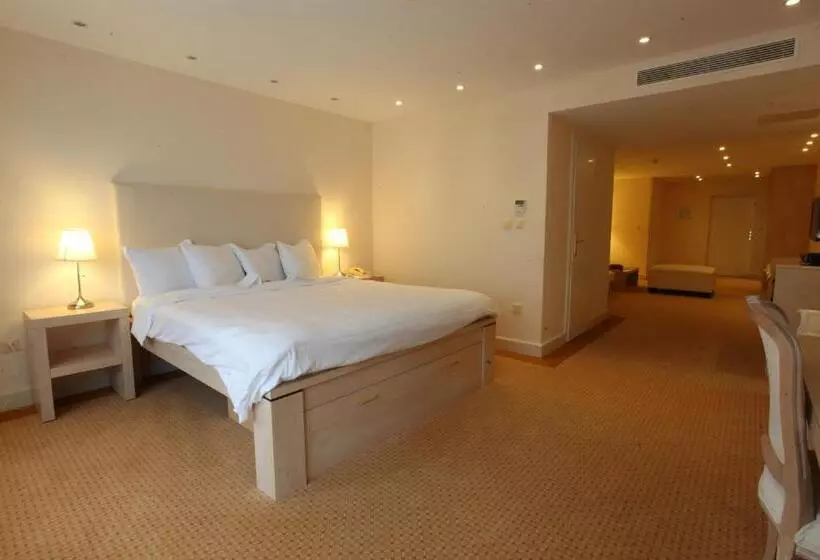 Otel Du Grand Lac Excelsior