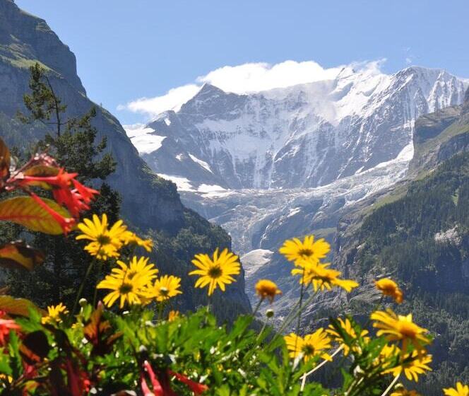 هتل Gletschergarten