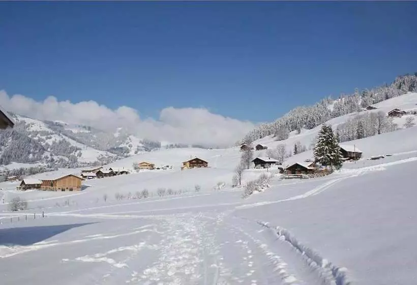 Hotel Le Grand Chalet Gstaad