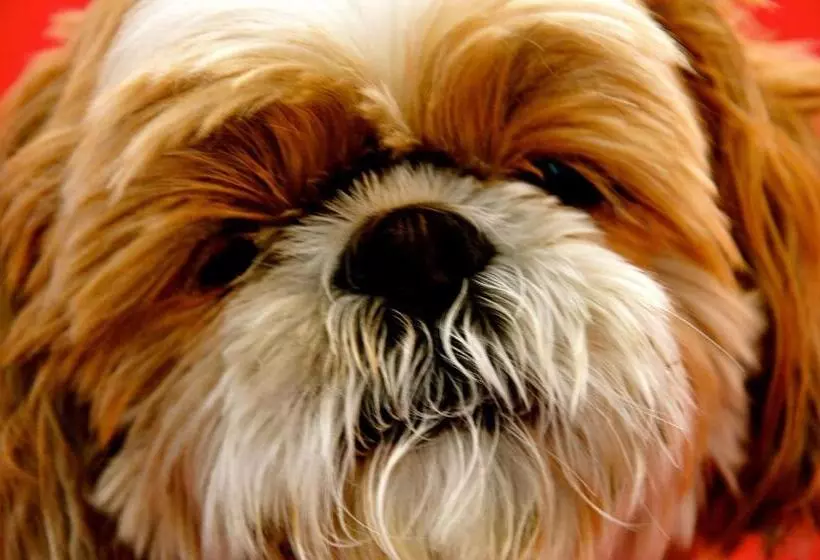 هتل Poschiavo Suisse