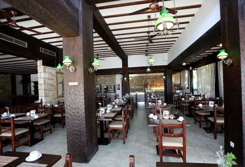 هتل Dionysos Central