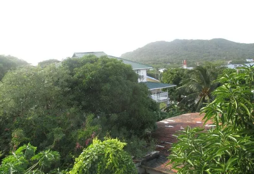 هتل Flemming Tree