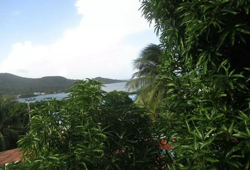 هتل Flemming Tree