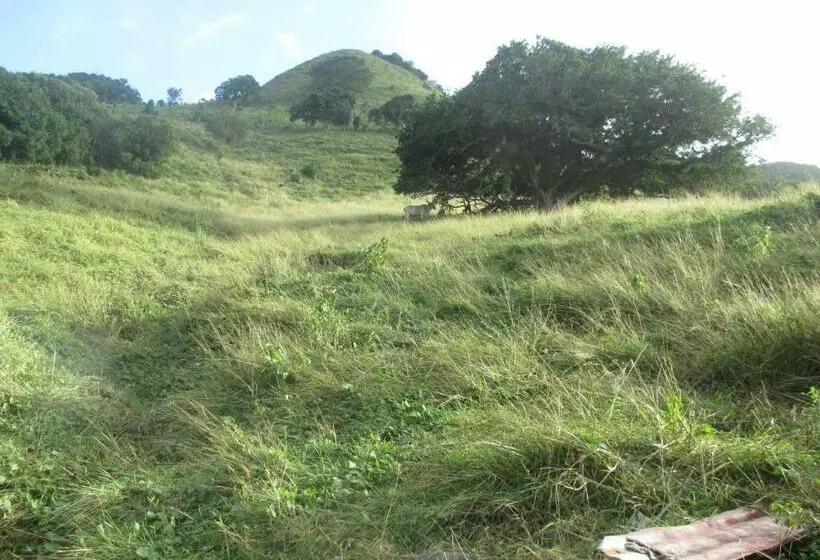 هتل Flemming Tree