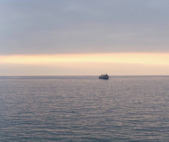 هتل Pullman Vina Del Mar San Martín